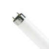 NEON-LAMPE