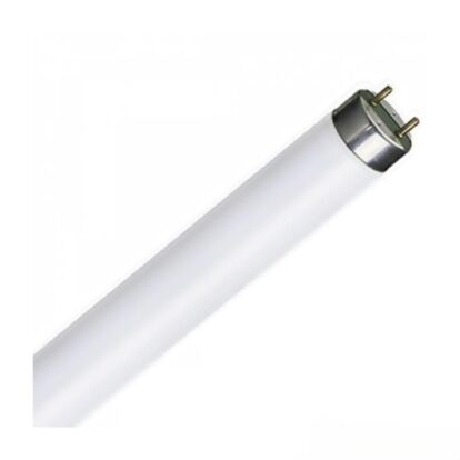 NEON LAMP 72W