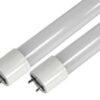 NEON LAMP 100w